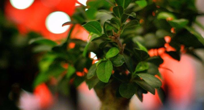 Bilder von Restaurant Sushi Kaiser in Innenstadt West, Dortmund - Photo 8