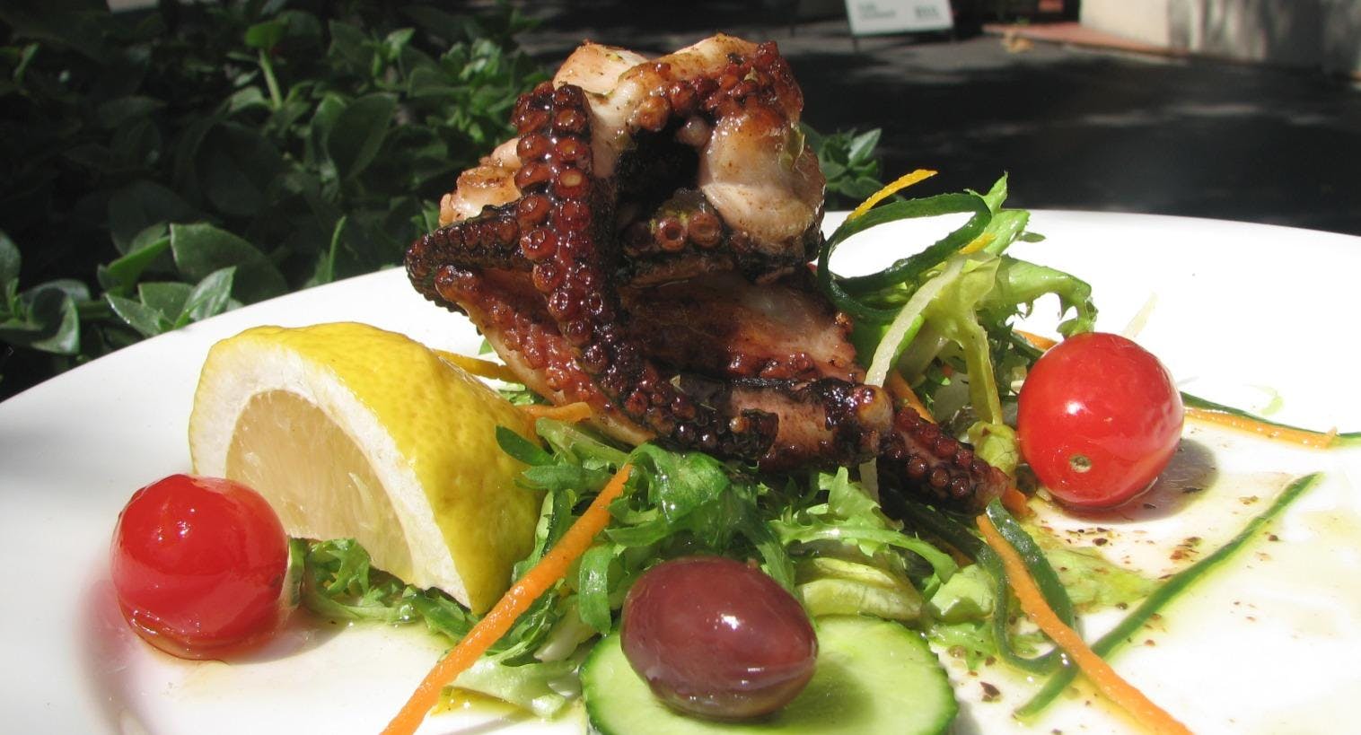 Photo of restaurant The Olive Tree in South Melbourne, Melbourne - Photo 7