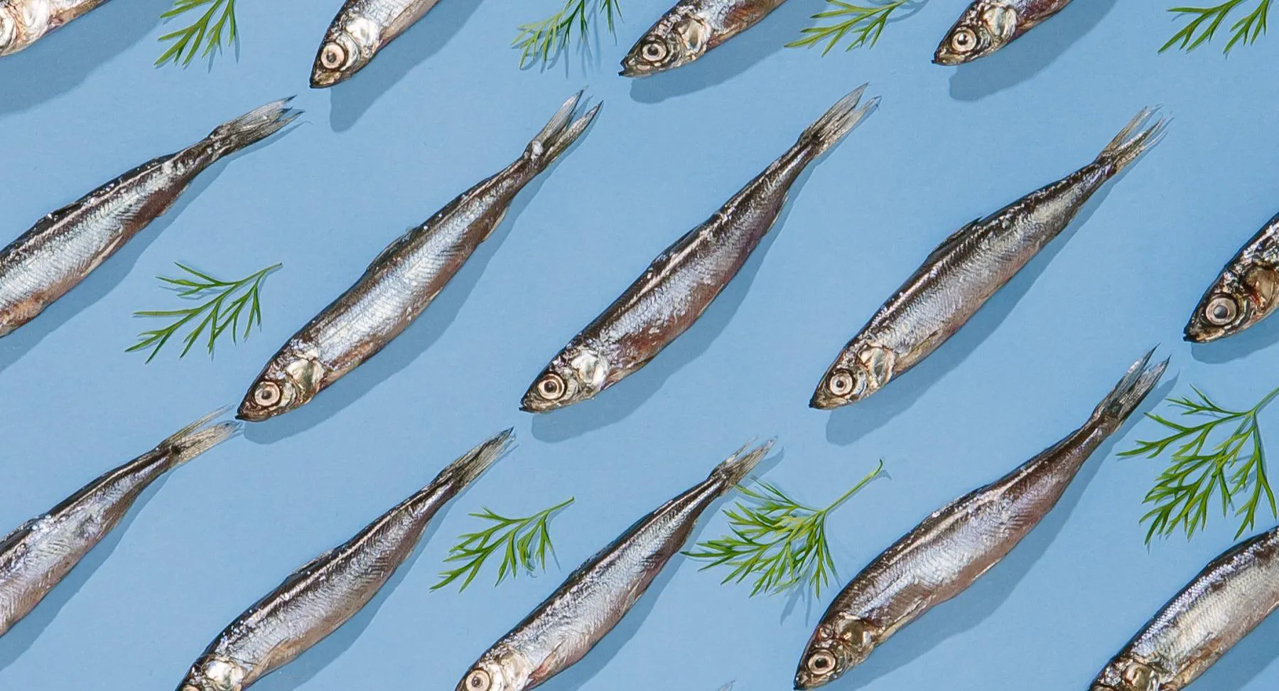 Photo of restaurant Ravintola Ilves in Kamppi, Helsinki - Photo 12