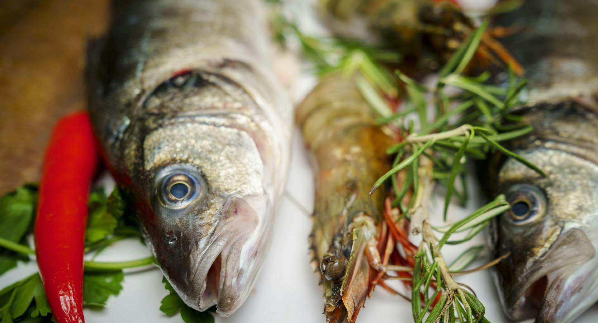 Photo of restaurant Ristorante Tagesbar in Dahlem, Berlin - Photo 6