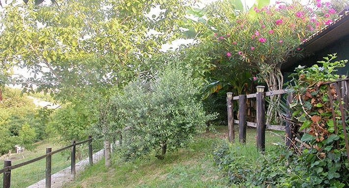 Photo of restaurant La Tana dei Sapori in Olivola, Alessandria - Photo 2