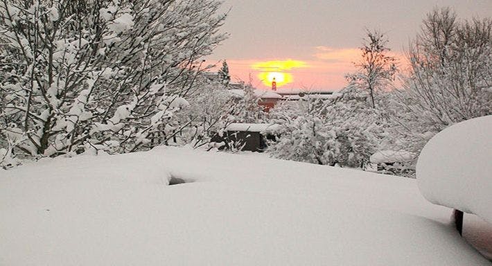Photo of restaurant La Tana dei Sapori in Olivola, Alessandria - Photo 9