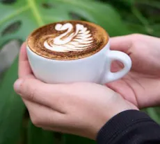 Restaurant Clubhouse Malvern in Malvern, Melbourne