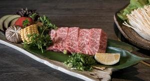 rokko japanese bbq