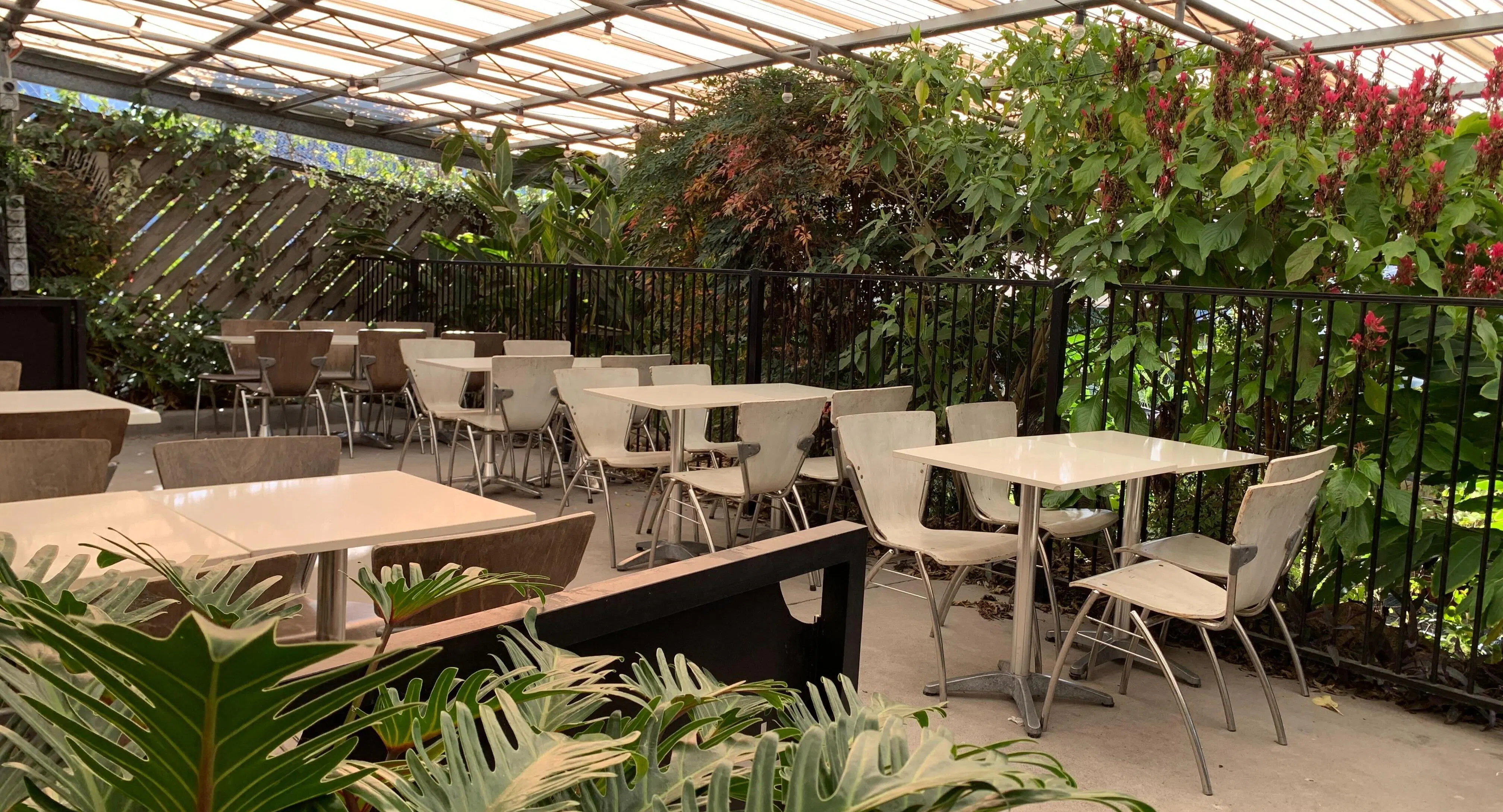 Photo of restaurant Cafe Harvest in Bonnyrigg Heights, Sydney - Photo 3