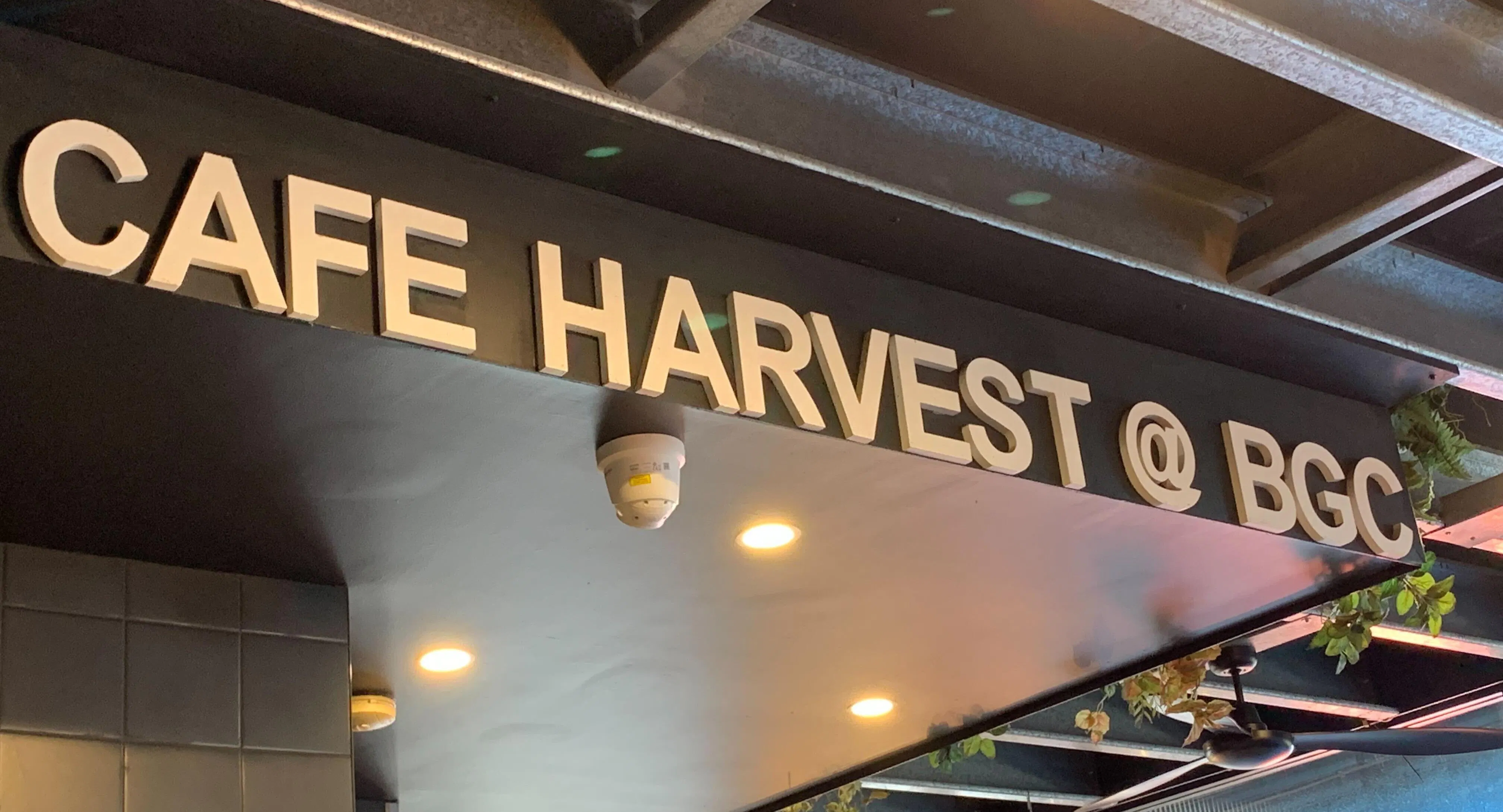 Photo of restaurant Cafe Harvest in Bonnyrigg Heights, Sydney - Photo 8