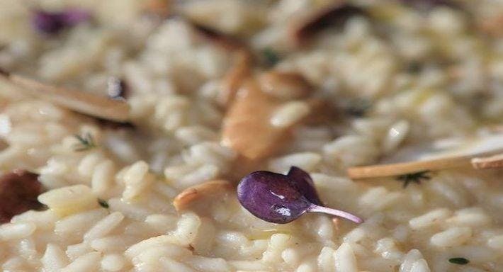 Photo of restaurant Ristorante Palmieri in EUR, Rome - Photo 7