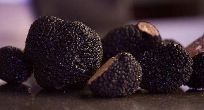 Photo of restaurant Ristorante Palmieri in EUR, Rome - Photo 11