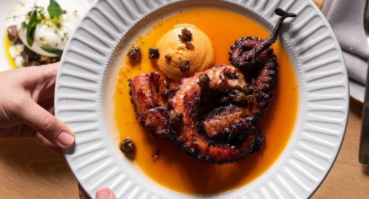 Photo of restaurant Osteria Coogee in Coogee, Sydney - Photo 3