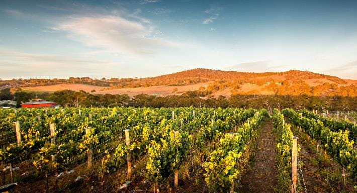 Photo of restaurant Ngeringa Vineyards in Mount Barker, Adelaide
