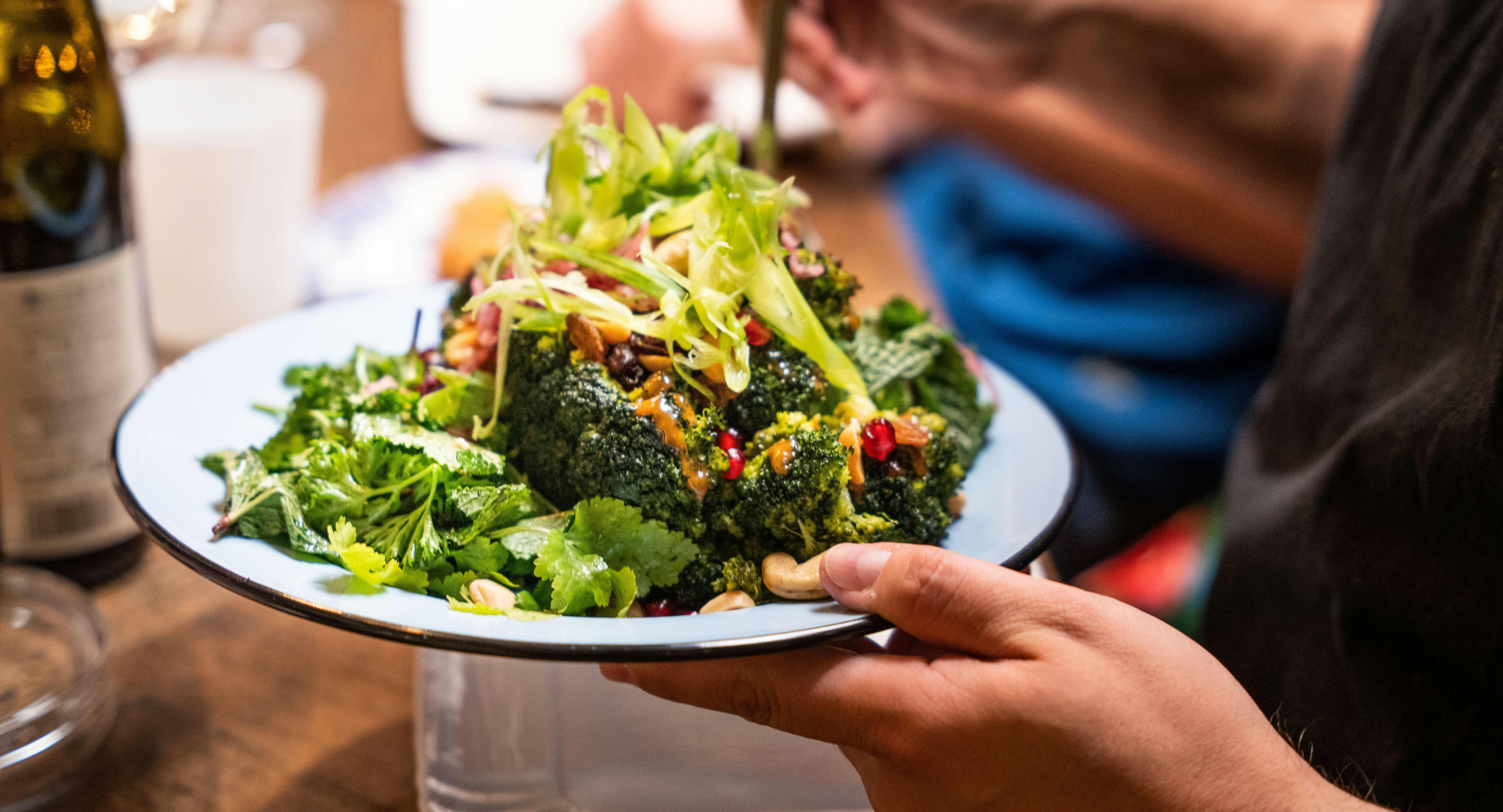 Restaurant JOJA Salzburg in Sankt-Peter-Bezirk, Salzburg
