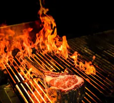 Restaurant WOLF by Foxglove in Wellington Central, Wellington City