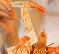 Restaurant Taiko Japanese Restaurant & Bar (Ponsonby) in Ponsonby, Auckland