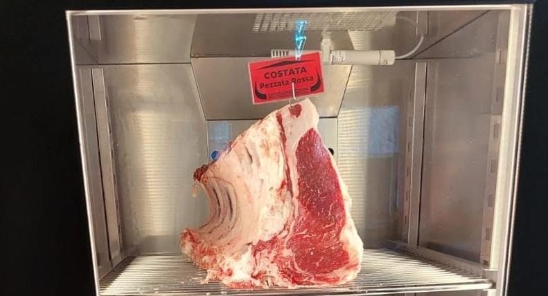 Restaurant TEMPIO STEAK in Washington, Milan