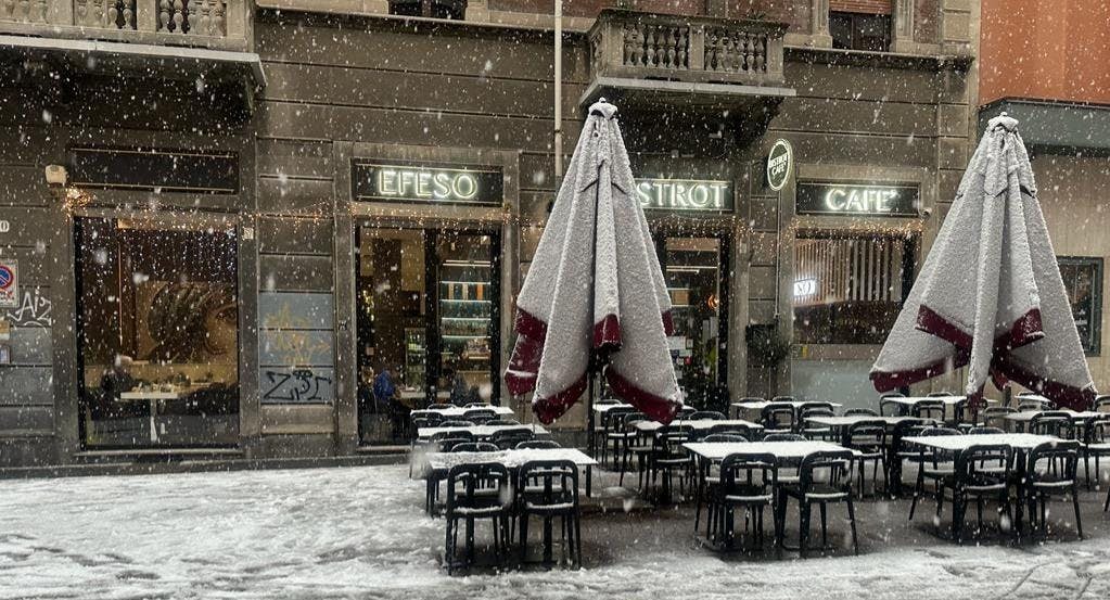 Restaurant Efeso Bistrot Cafe' in City Centre, Turin