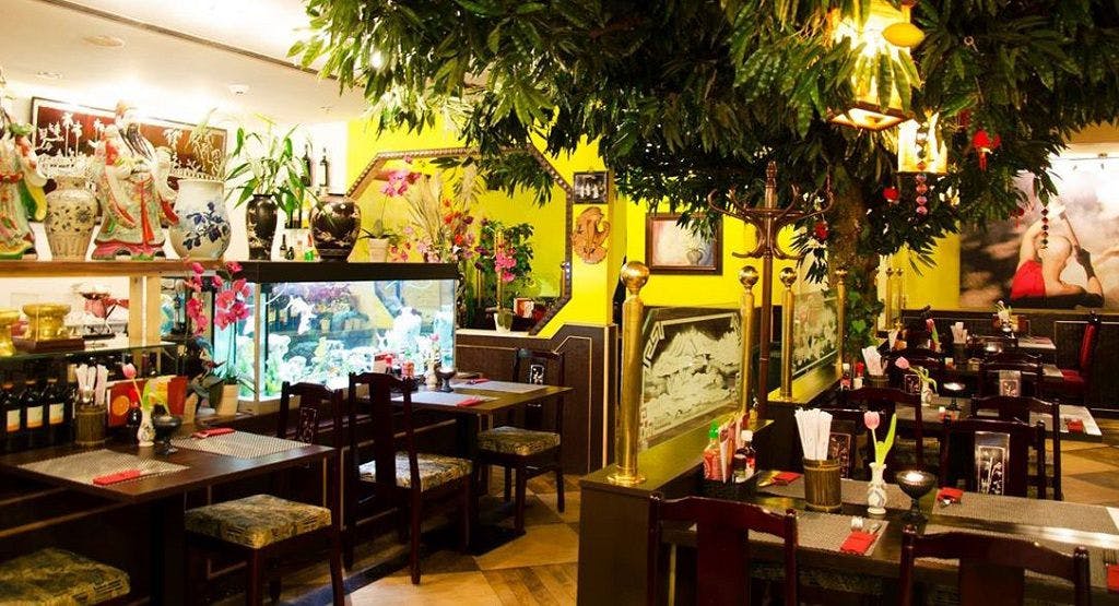 Bilder von Restaurant Ngan Tinh vietnamesisches Restaurant in Altstadt, Hamburg