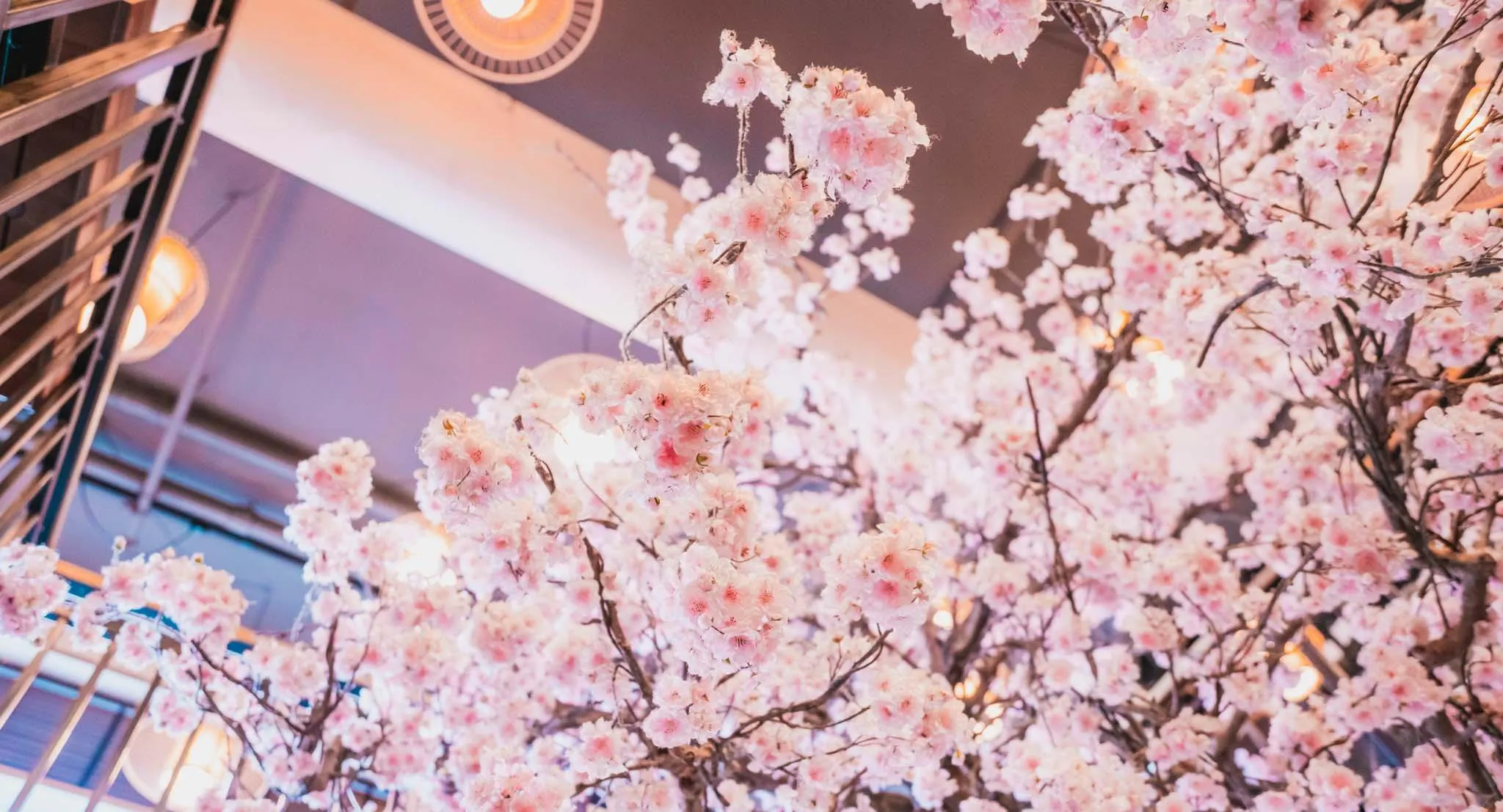 Photo of restaurant Sumo Scheveningen in Scheveningen, The Hague - Photo 8