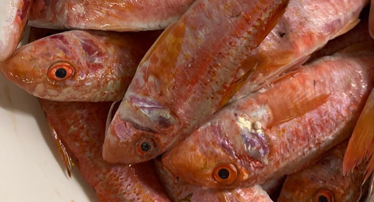 Restaurant Latteria Mamma labica in City Centre, Syracuse