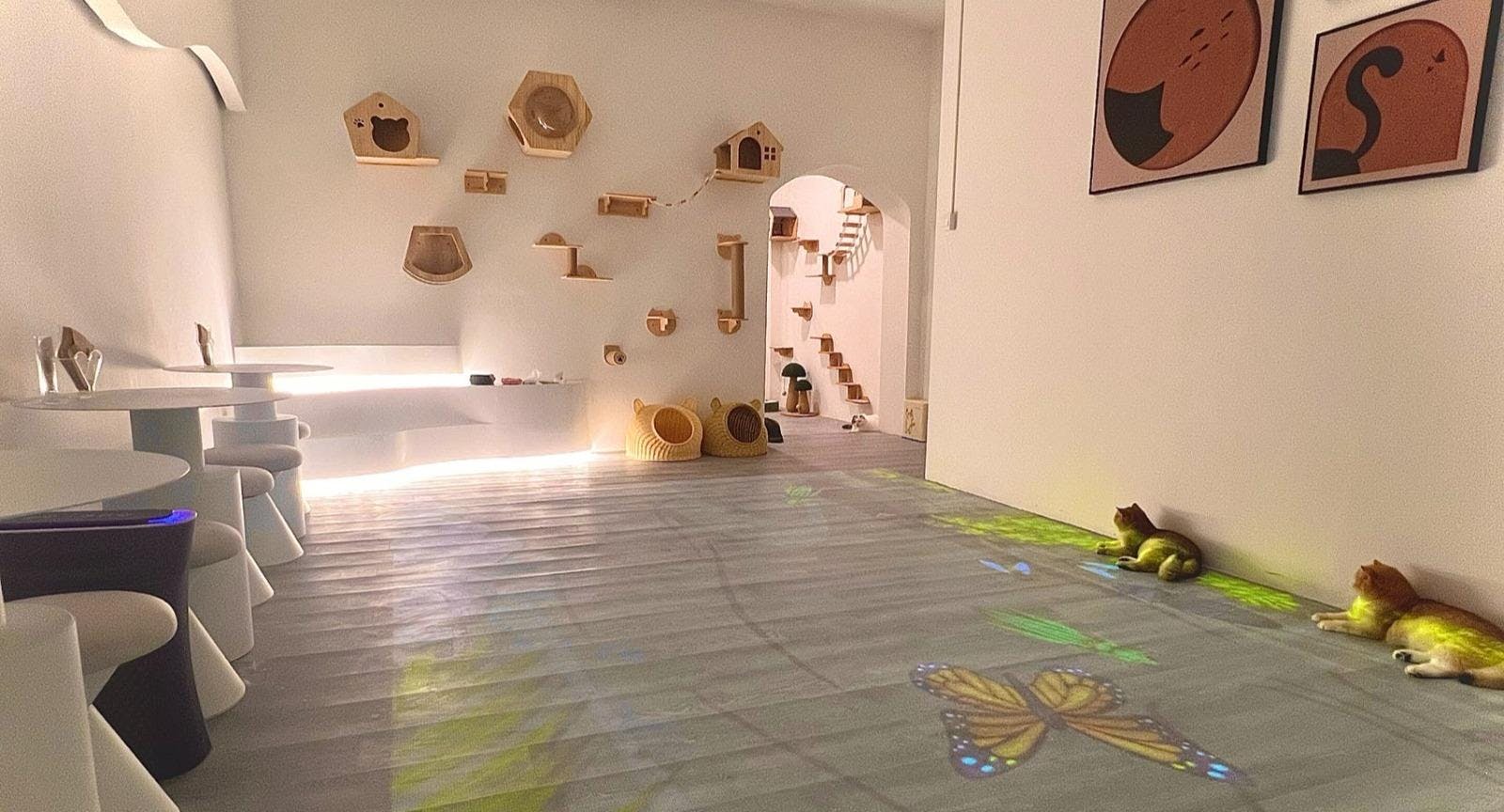 Photo of restaurant Gem Cat Cafe in Farrer Park, 新加坡