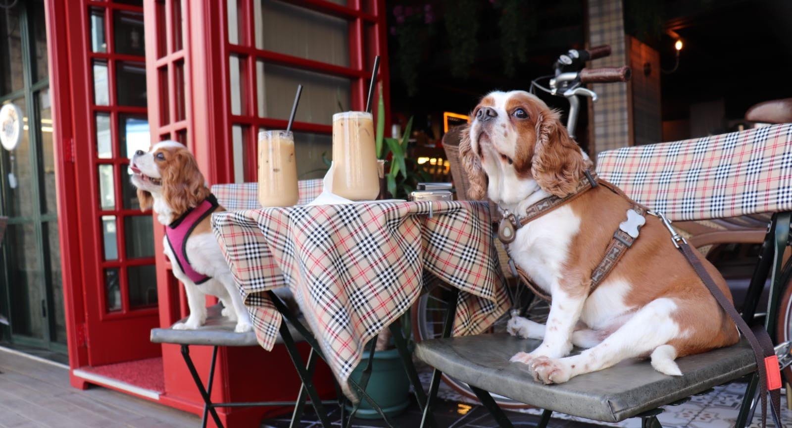 Restaurant Bi Dost Coffee&Chocolate-Donuts in Beşiktaş, Istanbul