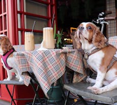 Restaurant Bi Dost Coffee&Chocolate-Donuts in Beşiktaş, Istanbul
