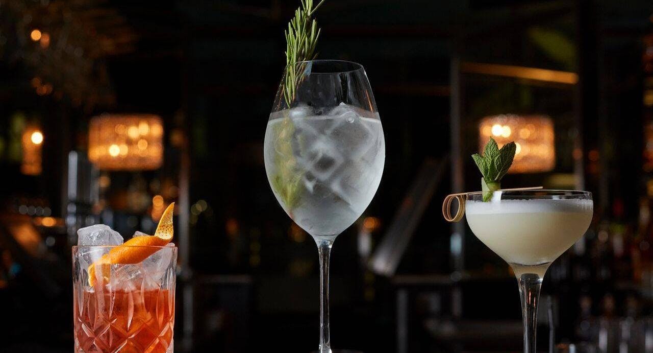 Photo of restaurant Gaucho - Piccadilly in Mayfair, London - Photo 3