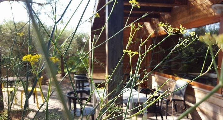 Photo of restaurant Singola Ristorante Naturale in Centre, Modica - Photo 5