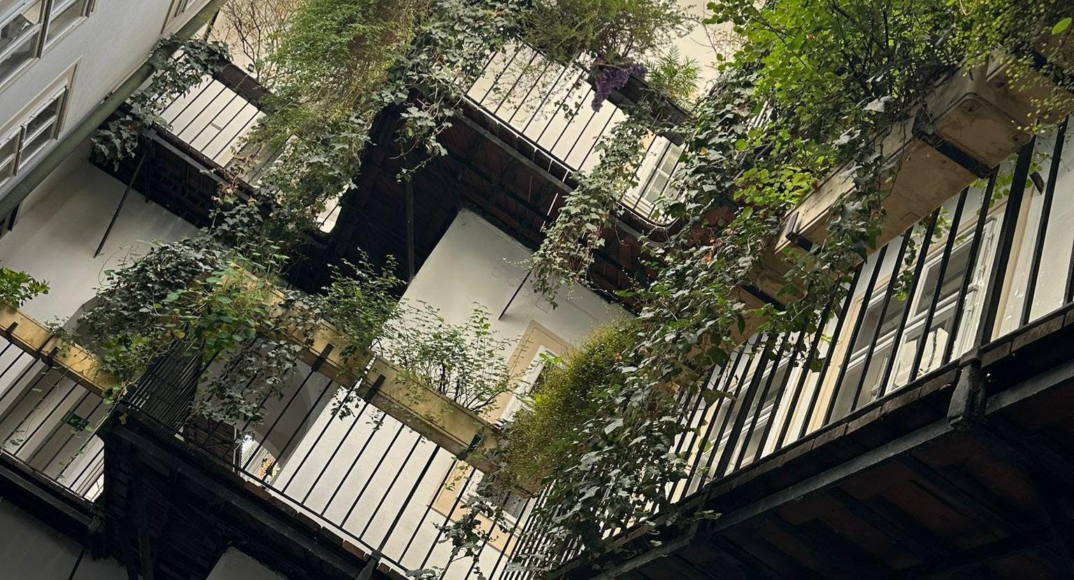 Photo of restaurant Chamäleon Restaurant in 1. District, Vienna - Photo 12