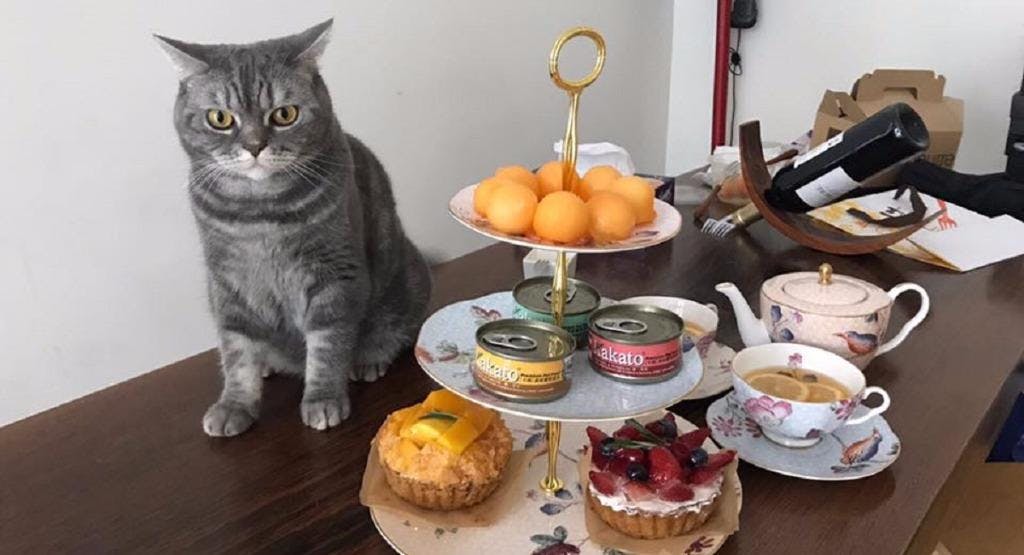 Photo of restaurant Mr & Mrs Cat Cafe in Causeway Bay, Hong Kong