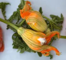 Restaurant Dom Pesce e Champagne in Monza, Monza and Brianza