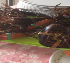 Restaurant Ristorante Le Camelie in Surroundings, Lucca